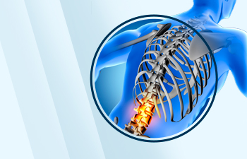 Effective Spine Injury Rehab